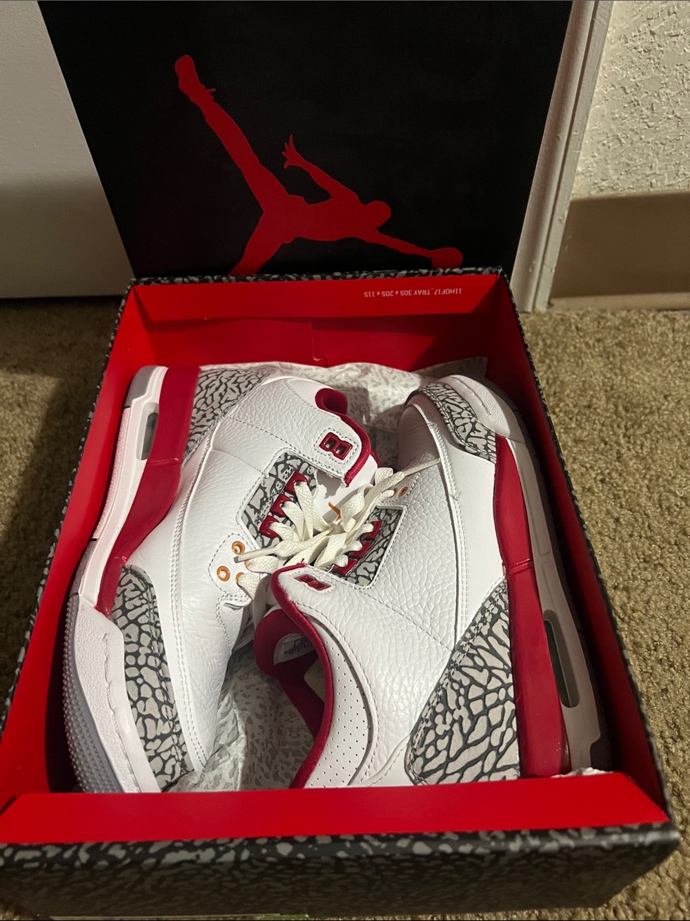Youth Air Jordan 3 Retro. White and Red Basketball Sneakers